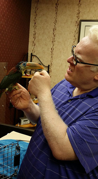 Exotic Animal Veterinary Services by Boot Road Veterinarian Clinic