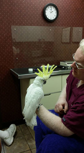 Contact Boot Road Veterinarian Clinic