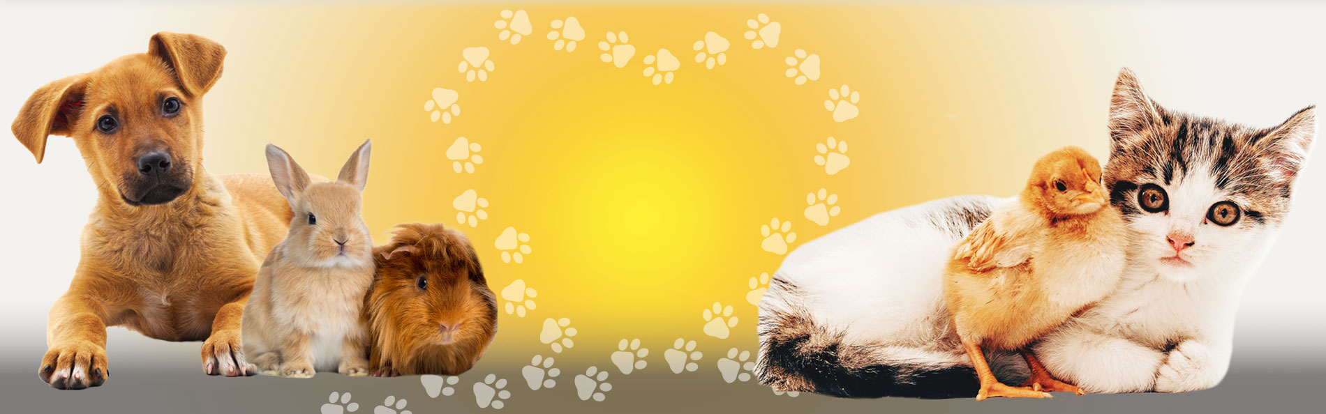 Boot Road Veterinary Clinic in West Chester, PA